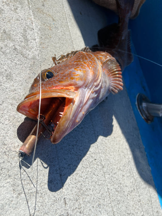 How was RockFishingLures.com started?